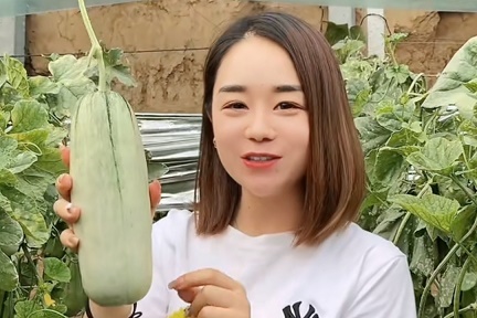 三亚羊角蜜香瓜