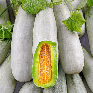 文昌羊角蜜香瓜