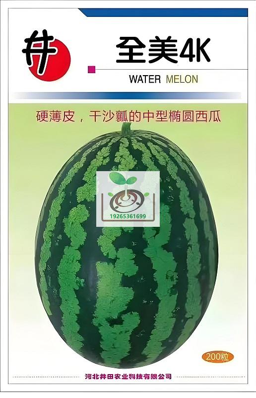 全美4k西瓜