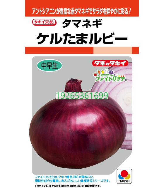 凯尔塔玛红宝石洋葱—泷井